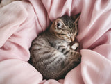 Enjoy luxurious comfort with Tencel bedding