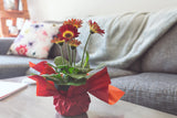 How to Choose the Best Summer Sofa Cover: Linen vs Ice Silk vs Cotton