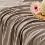 #color_Taupe