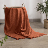 #color_rust orange