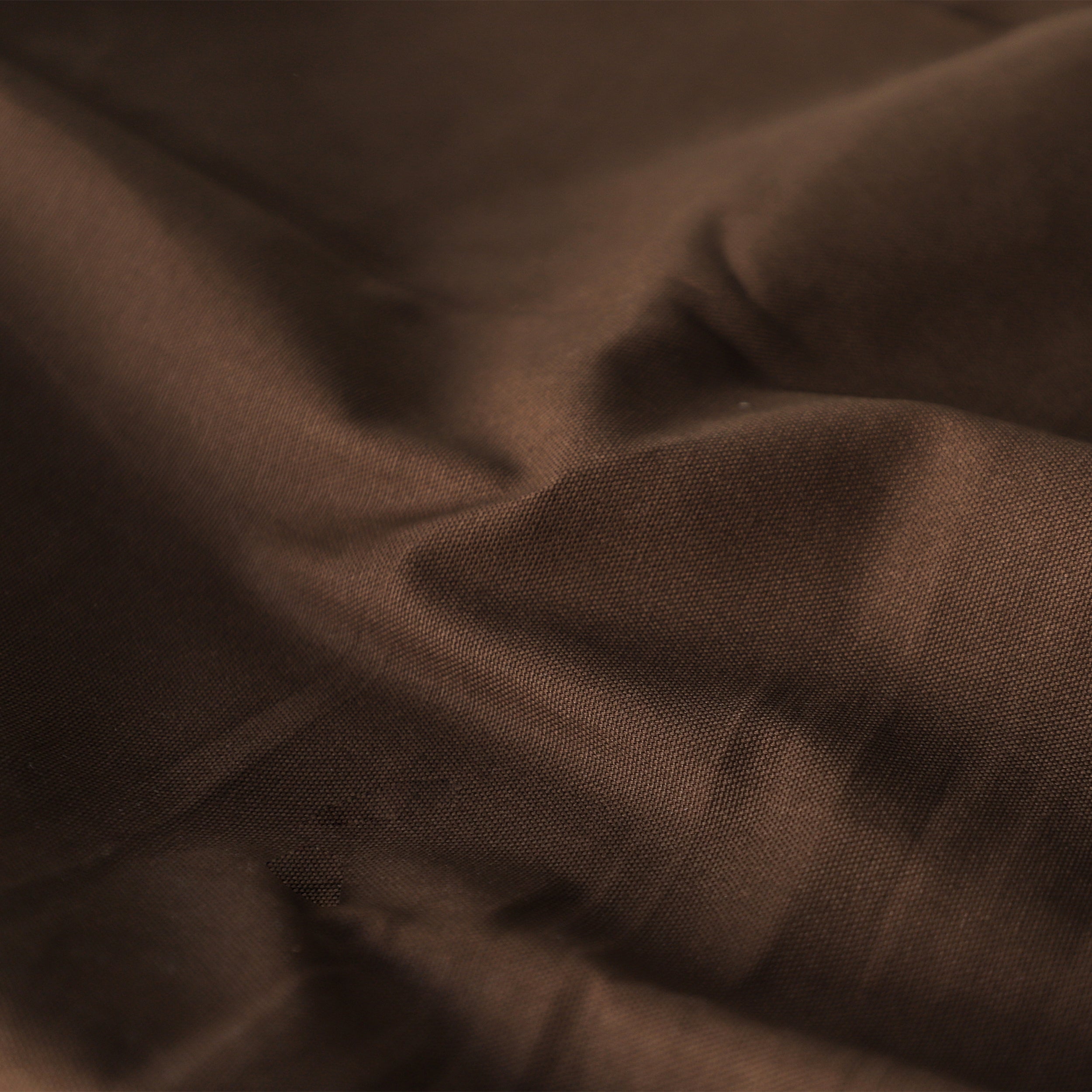 #color_brown