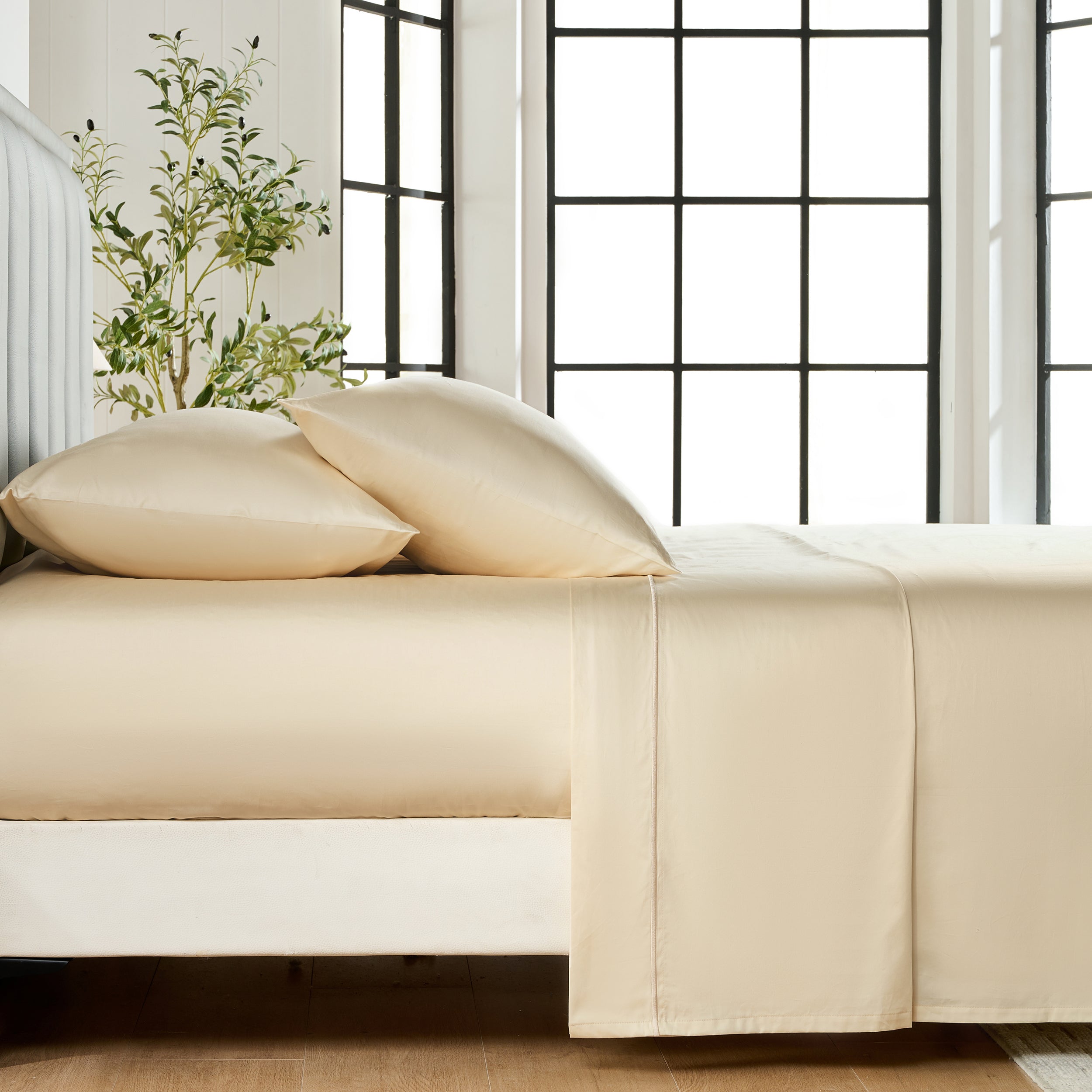 #color_beige