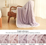 #color_Lavender