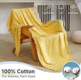 #color_light yellow