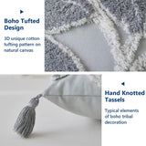 #color_Tufted Grey Leaf