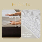 #color_Basic White