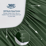 #color_Dark Green