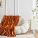 Lightweight Horizontal Throw Blanket for Couch