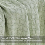 #color_sage green