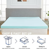 #color_mint green