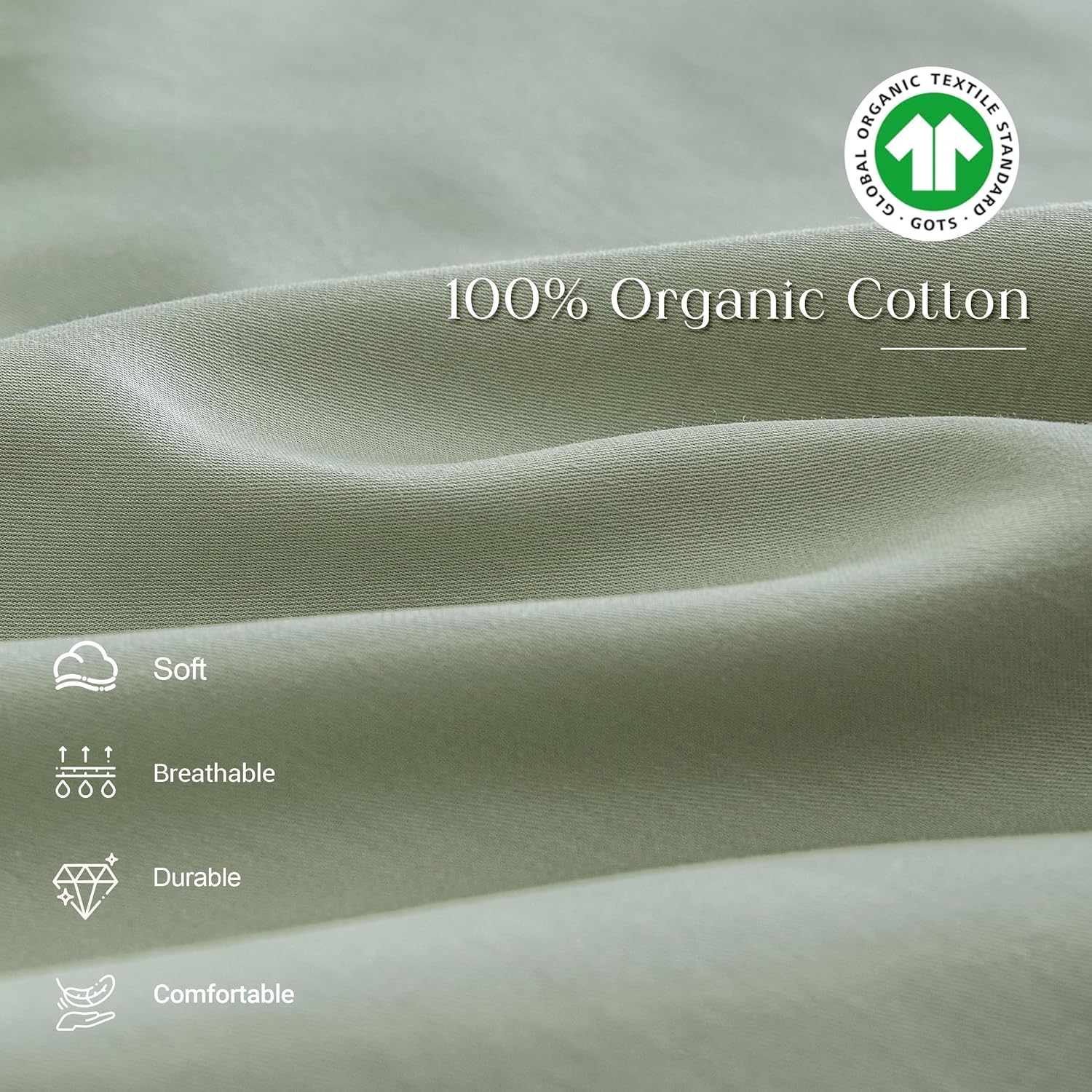 #color_sage Green