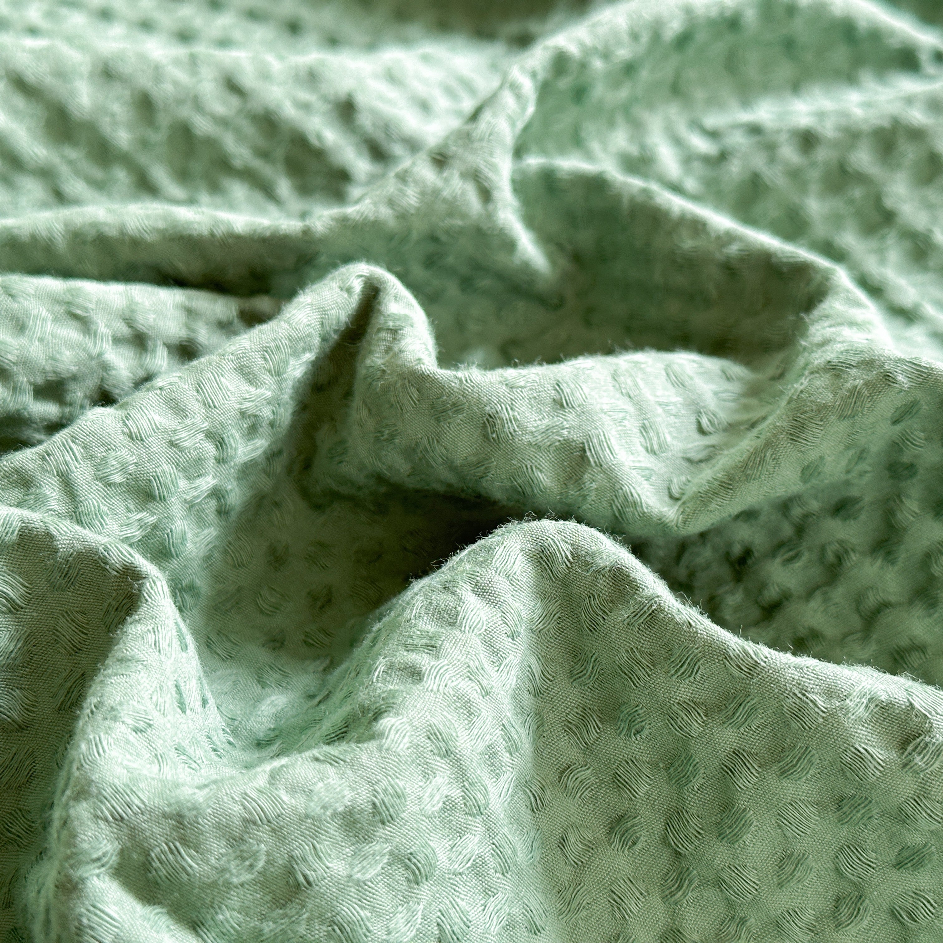 #color_green