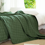 #color_olive green