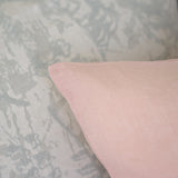 #color_blush pink