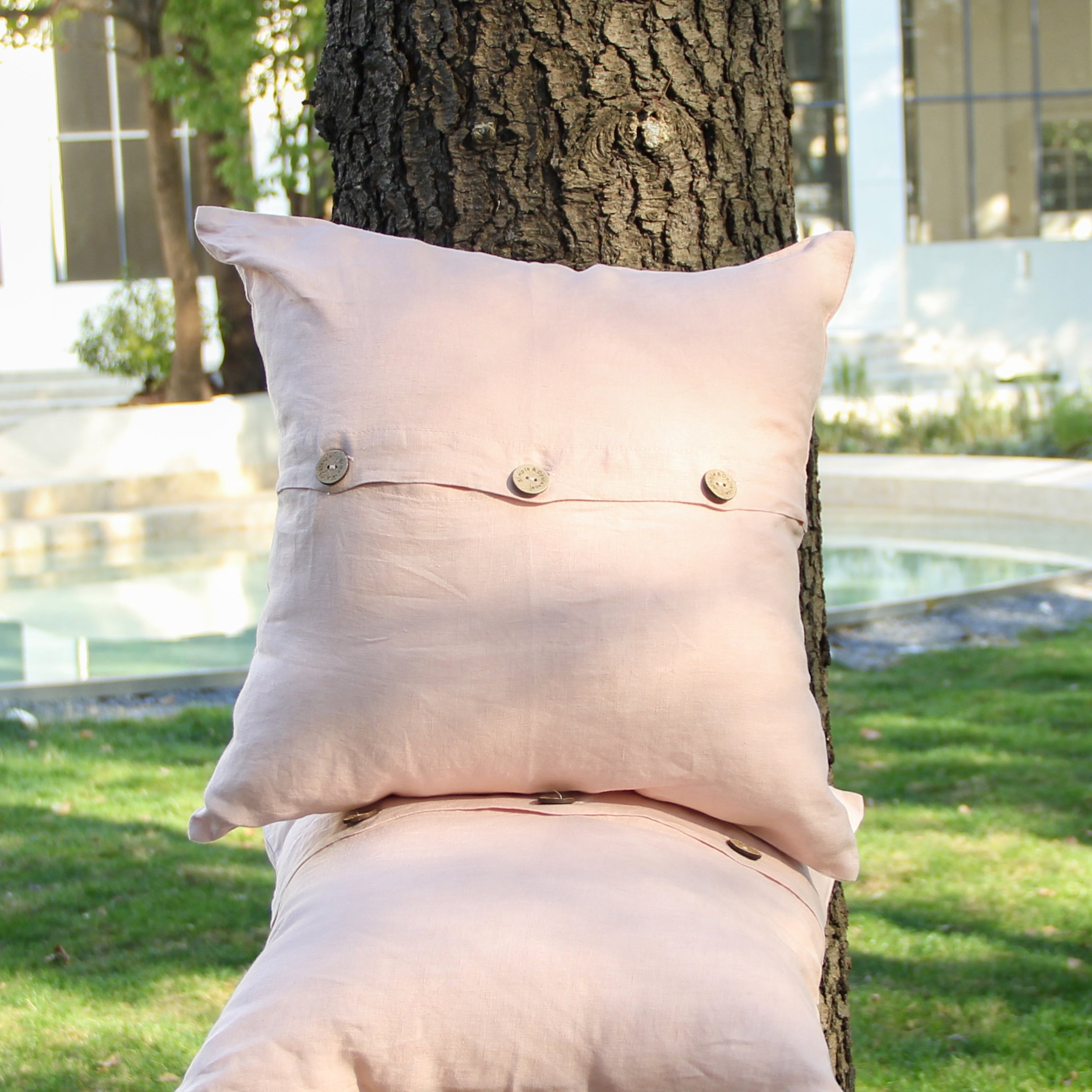 #color_blush pink