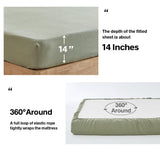 #color_sage Green